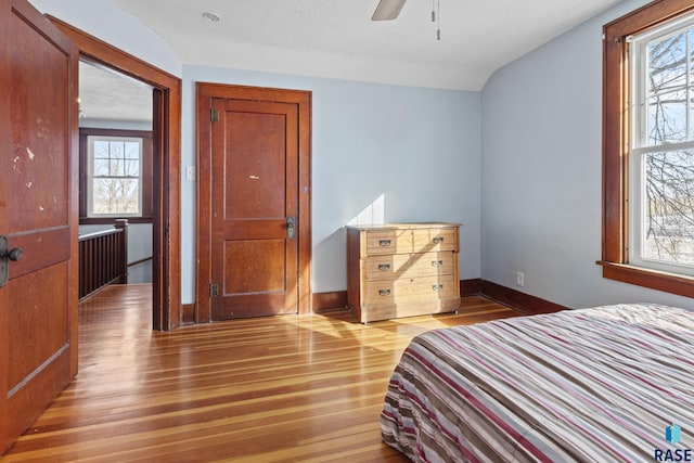 bedroom featuring multiple windows and hardwood / wood-style flooring