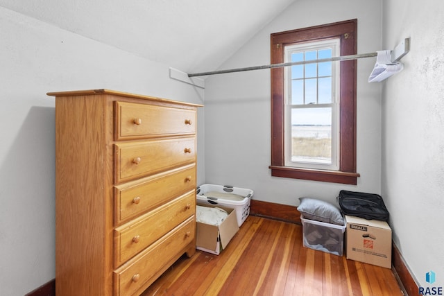 walk in closet with lofted ceiling and hardwood / wood-style floors