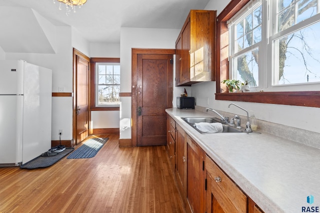 kitchen with white refrigerator, hardwood / wood-style flooring, and sink