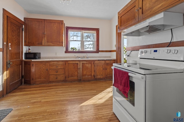 kitchen with sink, white electric range, and light hardwood / wood-style flooring