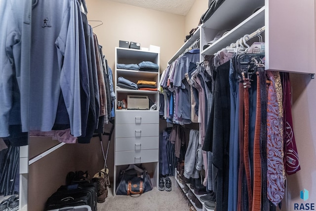 walk in closet with carpet