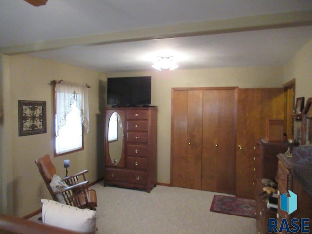 sitting room with carpet