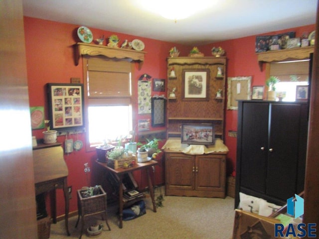 kitchen with light carpet