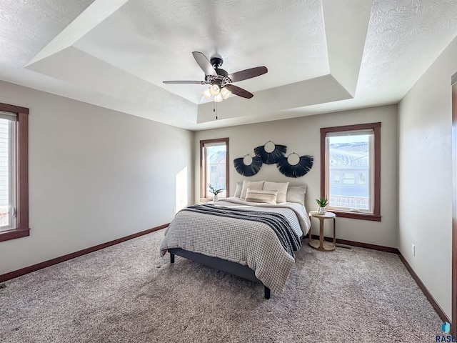 bedroom featuring a raised ceiling, a textured ceiling, and multiple windows