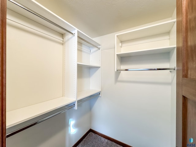 spacious closet featuring carpet floors