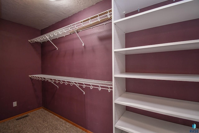 spacious closet with carpet flooring