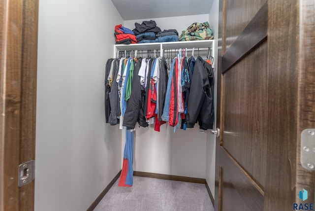 spacious closet with carpet