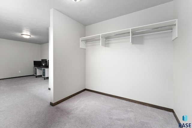 spacious closet with light colored carpet