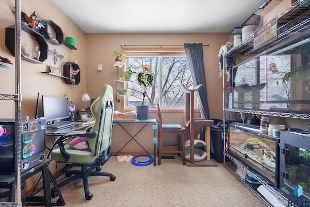 view of carpeted office space