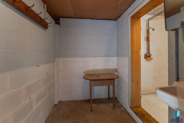 basement with sink