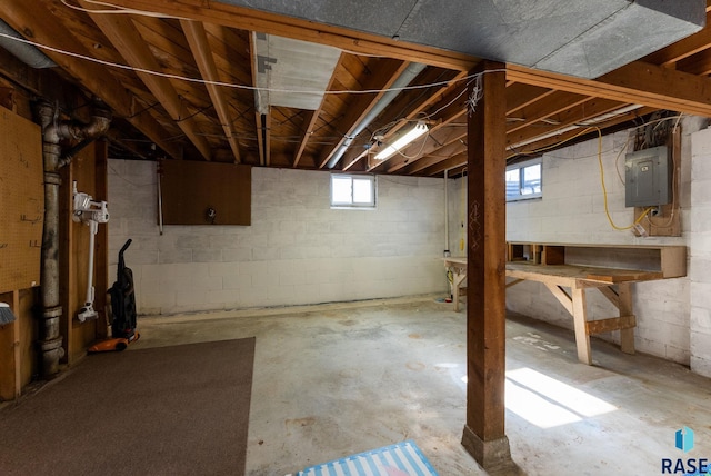 basement featuring electric panel