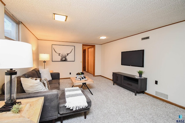 carpeted living room with crown molding and a textured ceiling