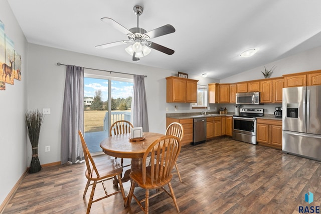 kitchen featuring lofted ceiling, sink, dark wood-type flooring, ceiling fan, and appliances with stainless steel finishes