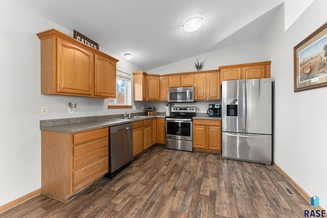 kitchen with appliances with stainless steel finishes, dark hardwood / wood-style floors, sink, and lofted ceiling