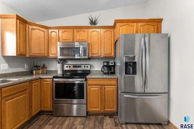 kitchen featuring lofted ceiling, sink, dark wood-type flooring, and appliances with stainless steel finishes