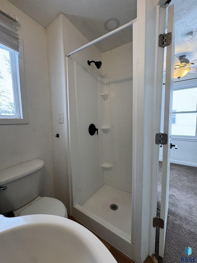 bathroom with a shower and a wealth of natural light