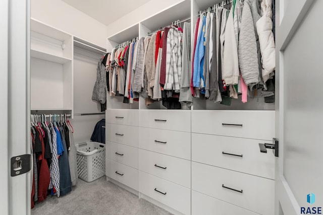 spacious closet featuring light carpet