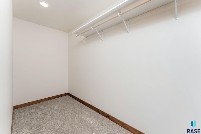 walk in closet featuring light carpet