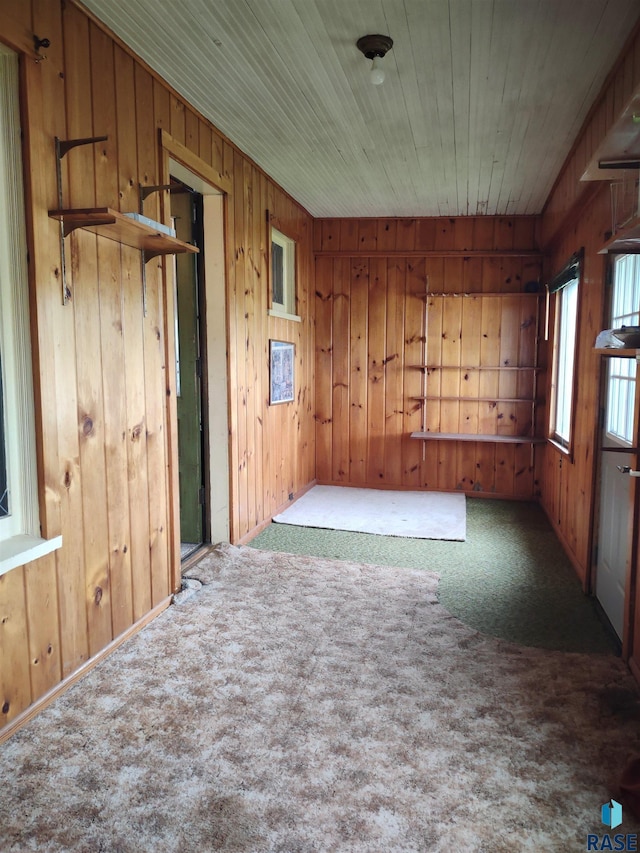 unfurnished room featuring carpet, wood ceiling, and wood walls