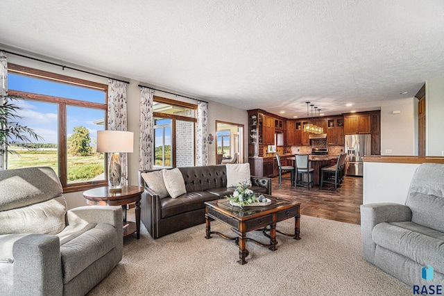 living room featuring a textured ceiling