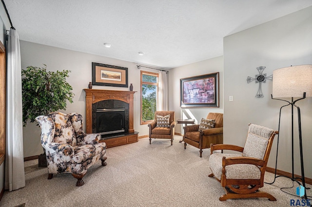 living area with a textured ceiling and carpet flooring