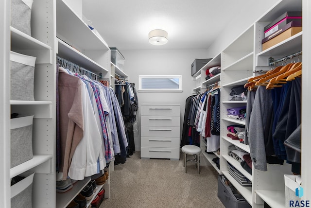 spacious closet featuring carpet floors