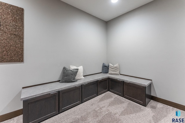 unfurnished office with light colored carpet