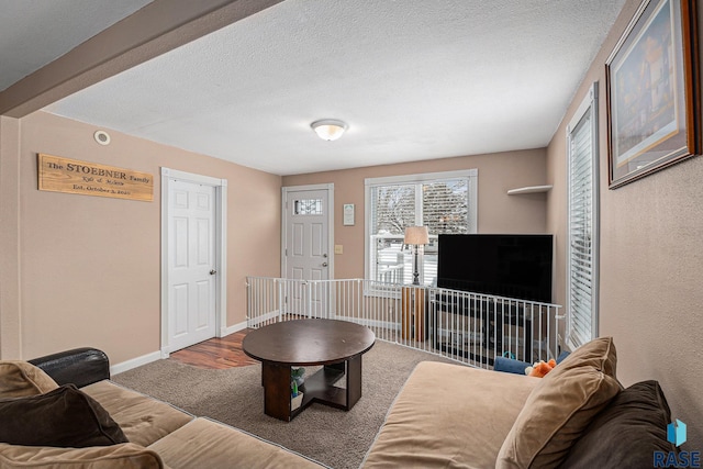 living room with wood-type flooring and a textured ceiling