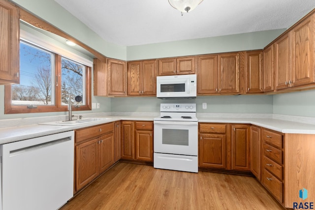 kitchen with sink, white appliances, and light hardwood / wood-style floors