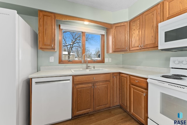 kitchen featuring white appliances, dark hardwood / wood-style flooring, and sink