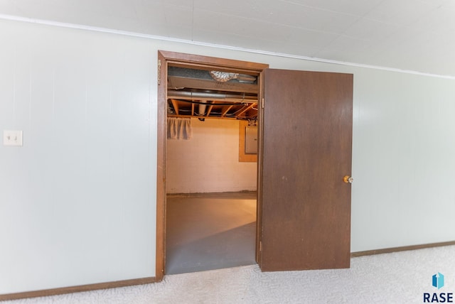 closet featuring electric panel