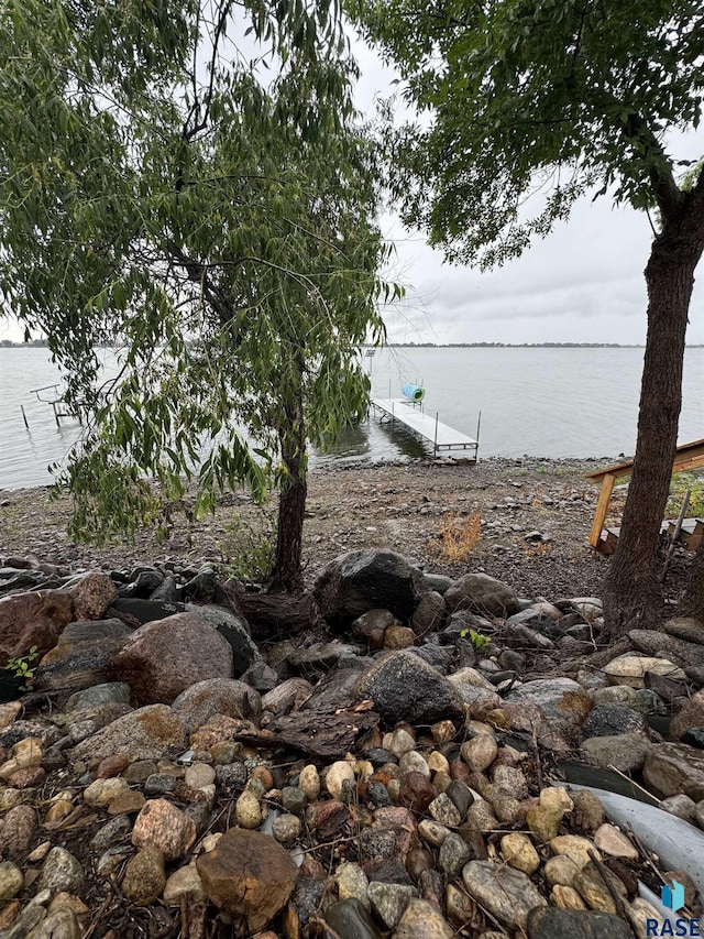 water view featuring a boat dock