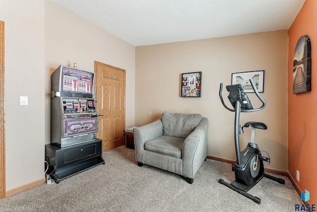 living area featuring carpet flooring