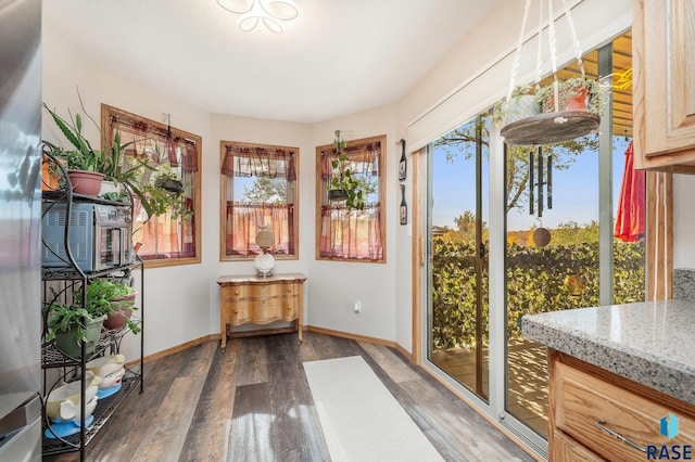 doorway to outside with dark hardwood / wood-style floors