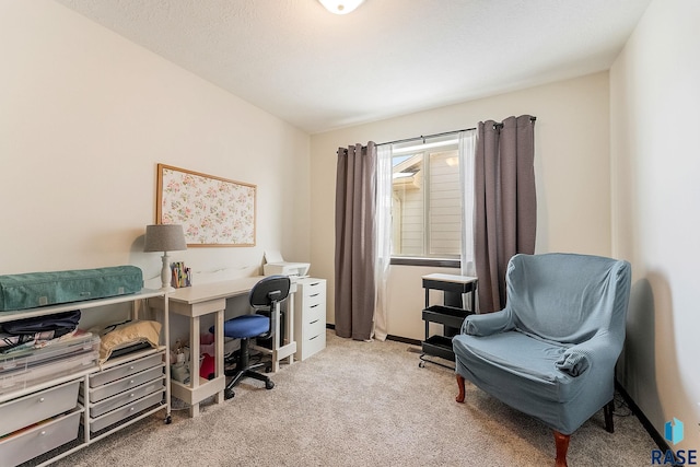 office featuring light colored carpet