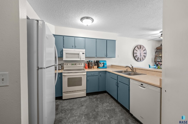 kitchen with blue cabinetry, sink, white appliances, ceiling fan, and a textured ceiling