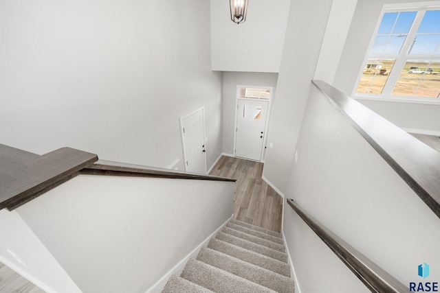 stairs with wood-type flooring