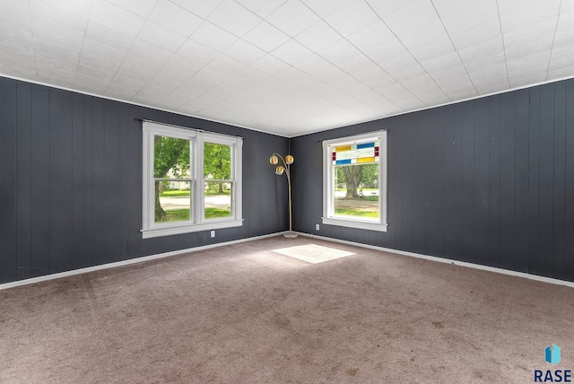 unfurnished room featuring plenty of natural light and carpet floors