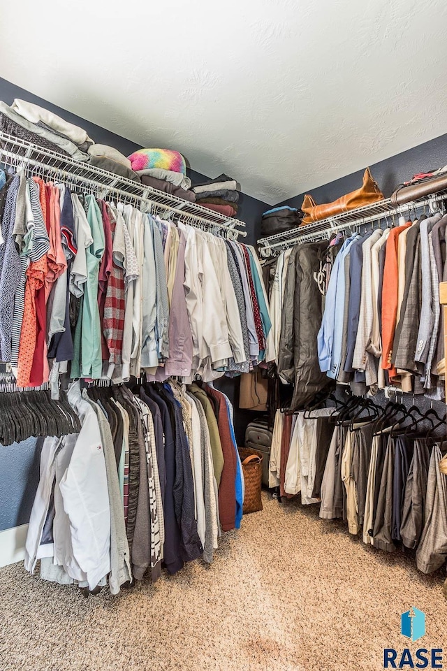 walk in closet featuring carpet flooring