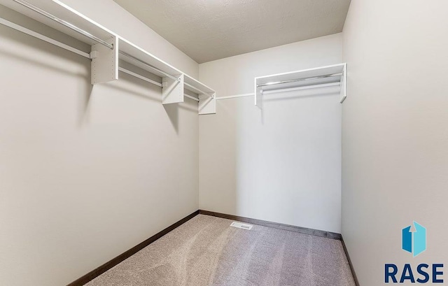 walk in closet with carpet