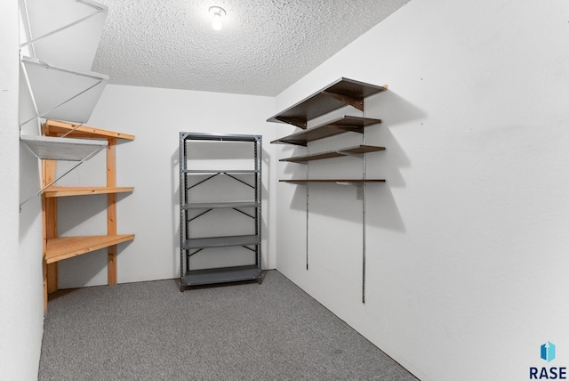 spacious closet featuring carpet flooring