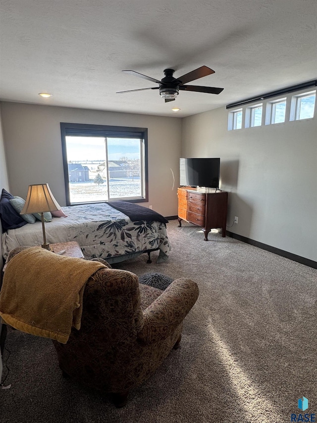 bedroom featuring multiple windows, carpet flooring, and baseboards