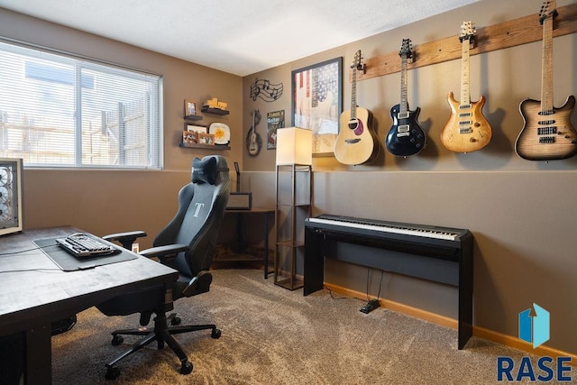 office space with carpet floors and baseboards