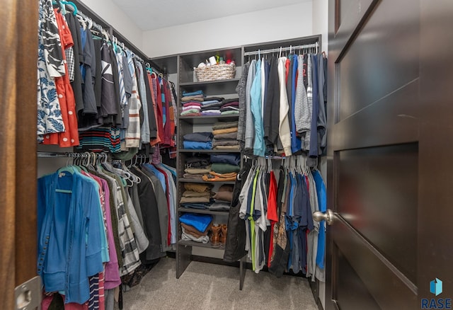 spacious closet featuring carpet floors