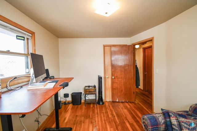 office area featuring dark wood-style floors