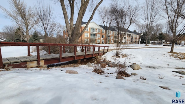 view of snowy yard