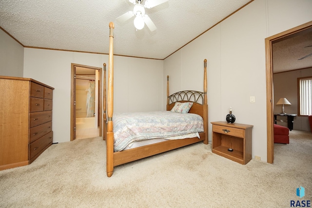 bedroom featuring ceiling fan, ornamental molding, ensuite bathroom, a textured ceiling, and carpet flooring