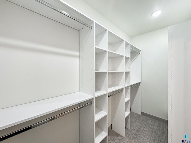 spacious closet with carpet