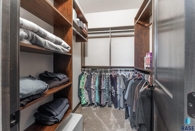 spacious closet with carpet floors