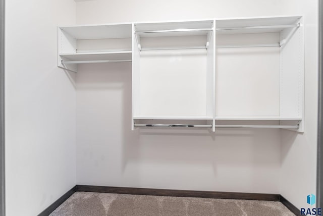 spacious closet with dark colored carpet